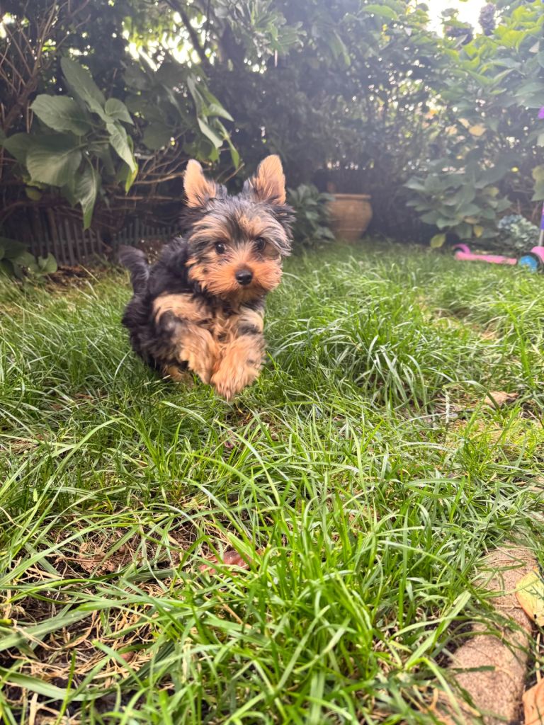 ❗️ONLY THIS WEEKEND❗️£1900 > £1500