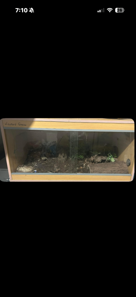reptile tank