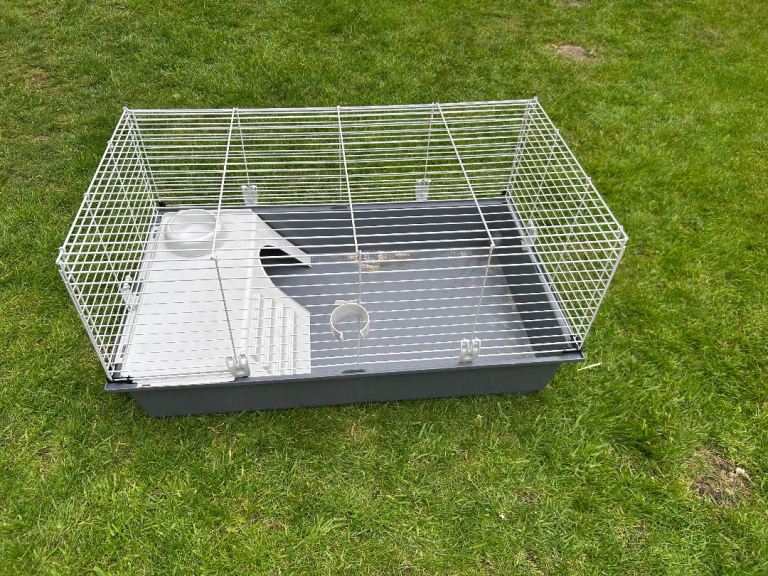 Indoor Guinea Pig cage