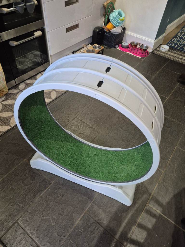 Cat treadmill