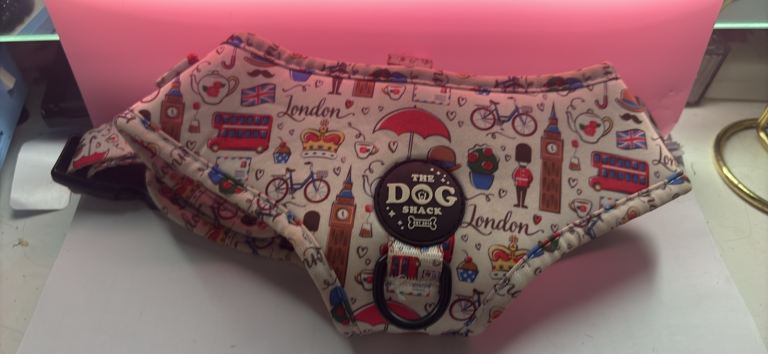 Dog harness and poo bag holder 