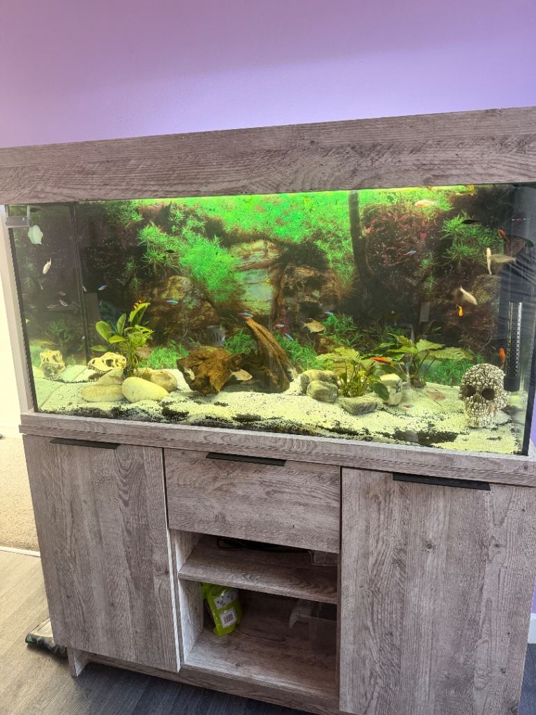 260L Fish tank