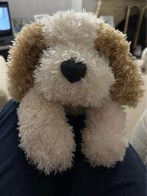 Cute Shaggy Dog Soft Toy – Good Condition