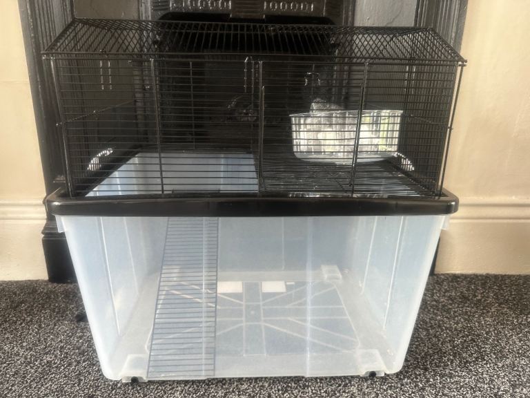 Hamster cage + accessories 
