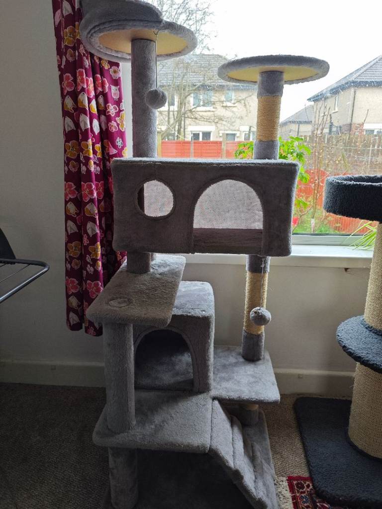 Cat tree scratch Free