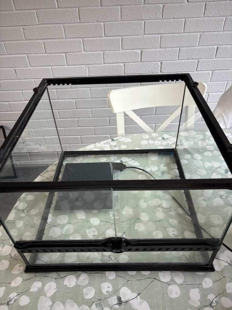 Reptile Tank - Free