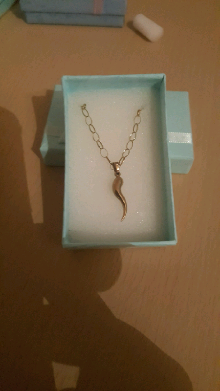 Horn of life 9ct gold on 18"  9ct gold belcher chain 