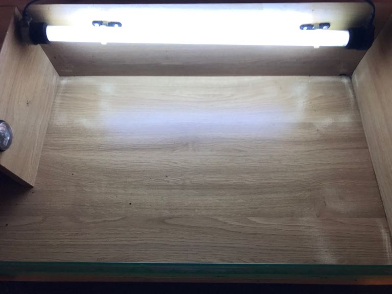 tortoise enclosure reptile bed with light Cheap 