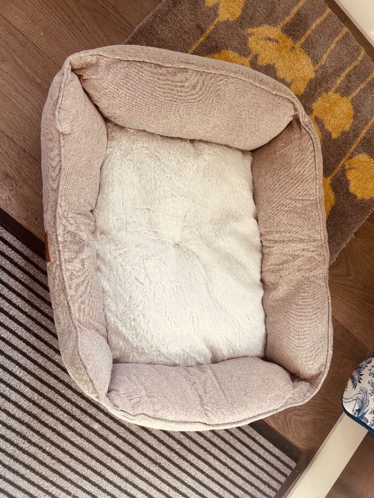 Scruffs dog bed