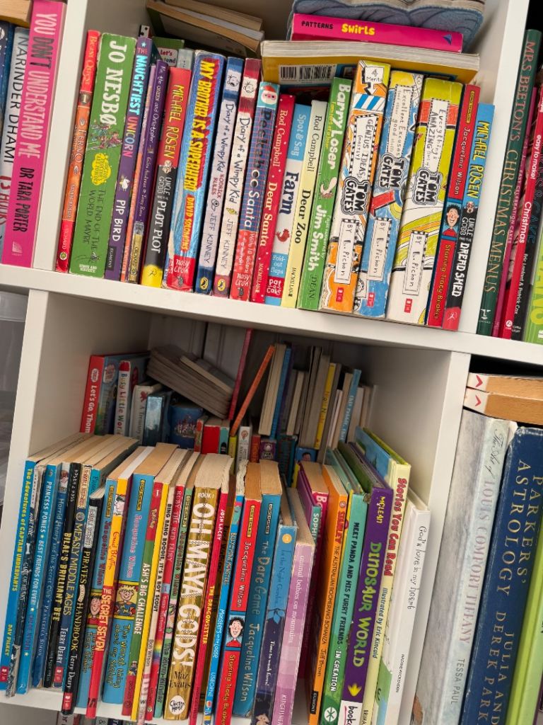 Large Collection of Assorted Books – Mixed Genres, Good Condition