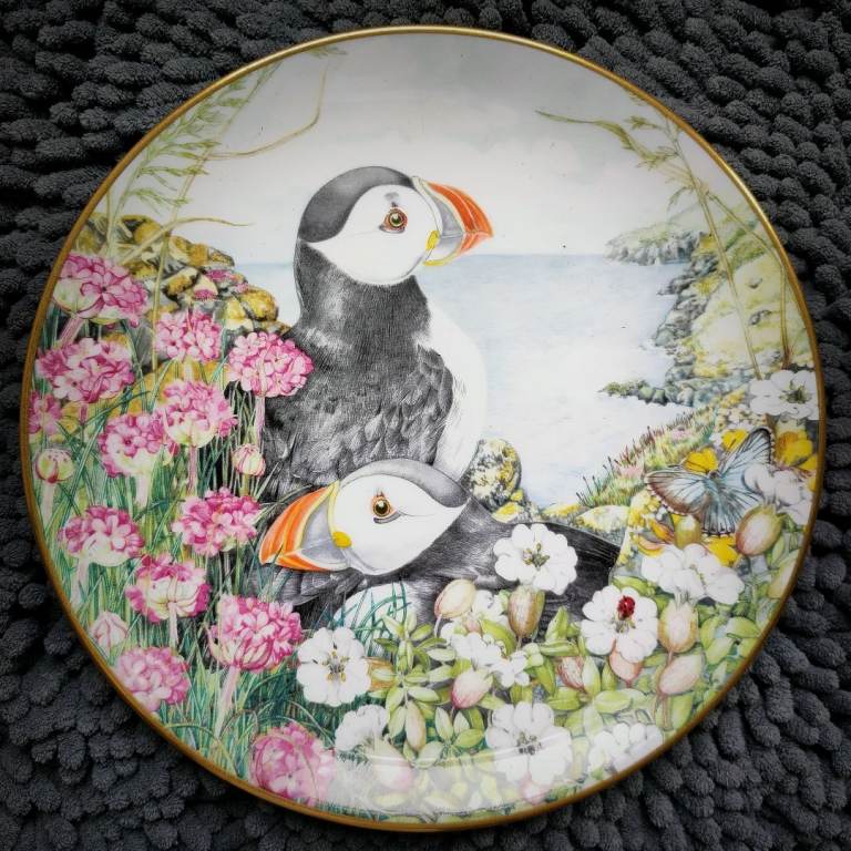 Collector's decorative plates
