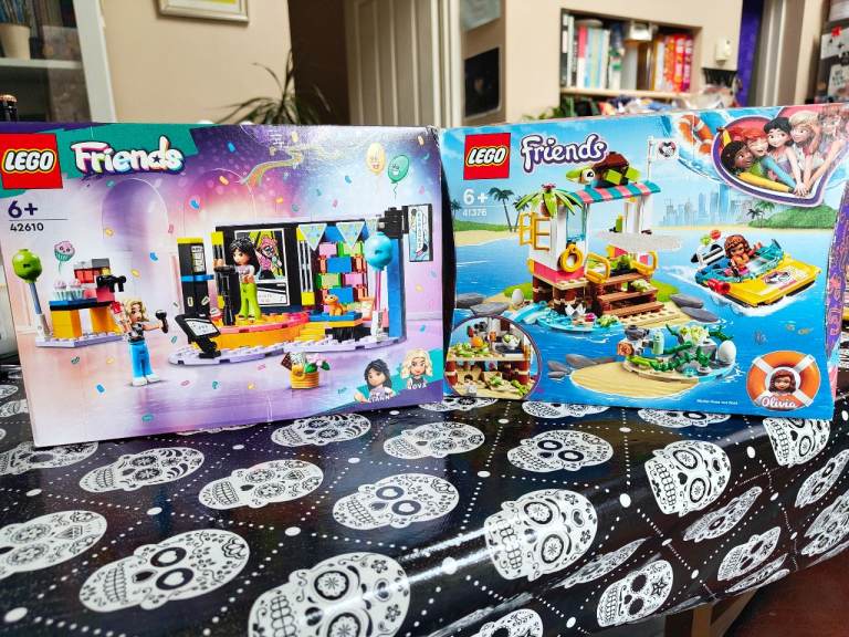Lego Friends Karaoke Party and Turtle Rescue