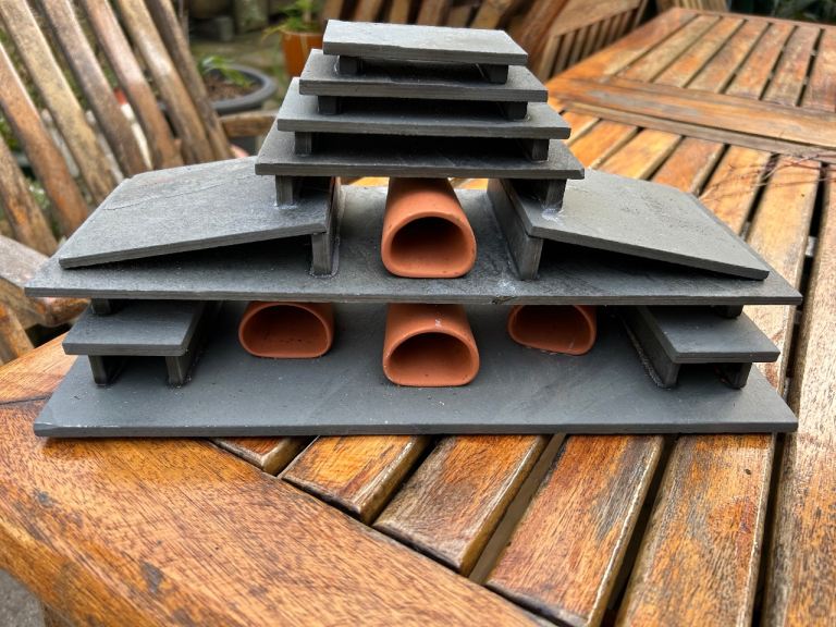 Pleco Hotel with terracotta caves