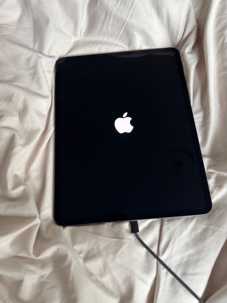 iPad 13 pro m4 256