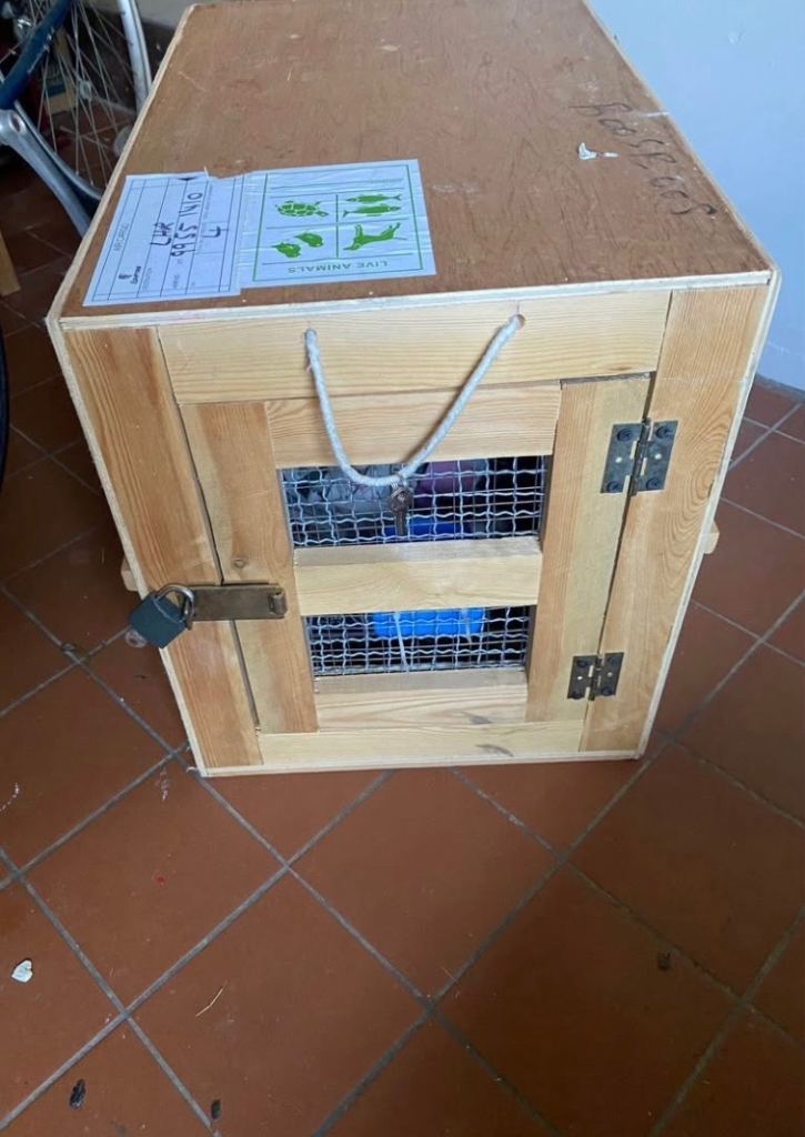 Pet carriers