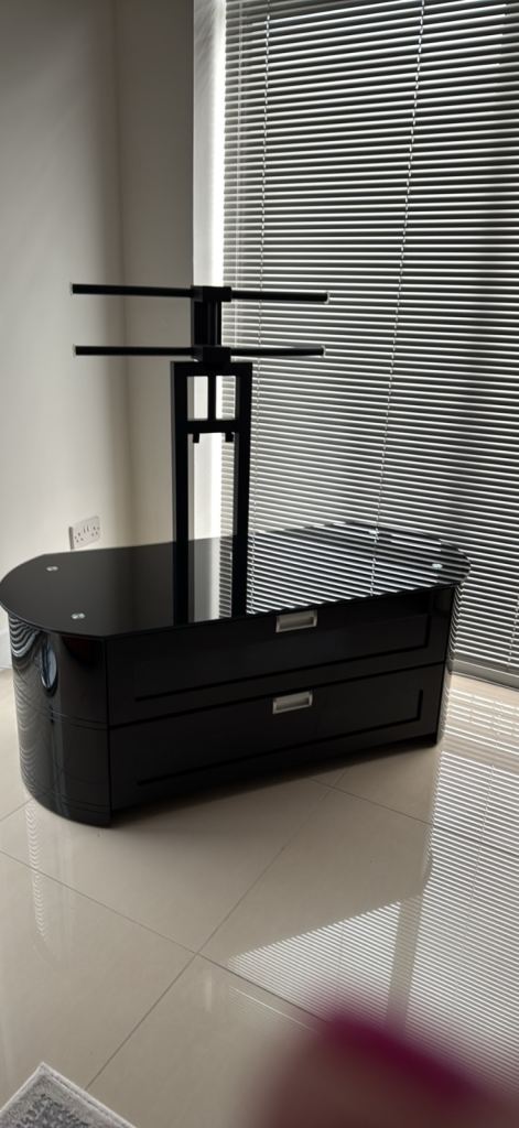 Gecko TV Unit