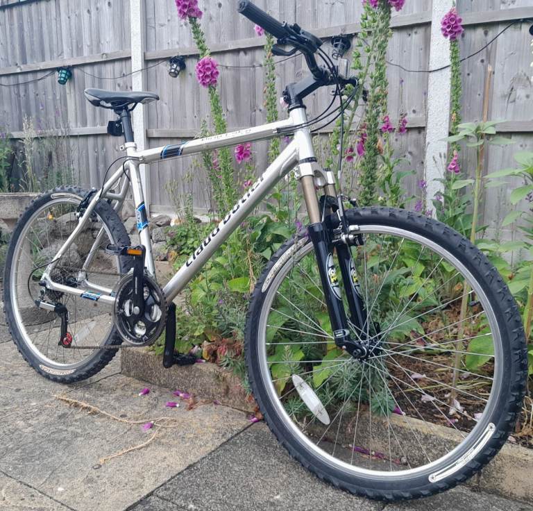Mens bike