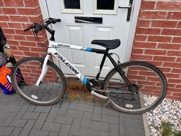 Adult bike 