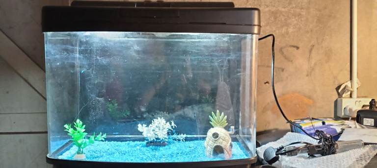 64lt fish tank and accessories 