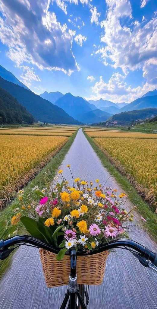 Linda's Thai Massage in Grangetown 