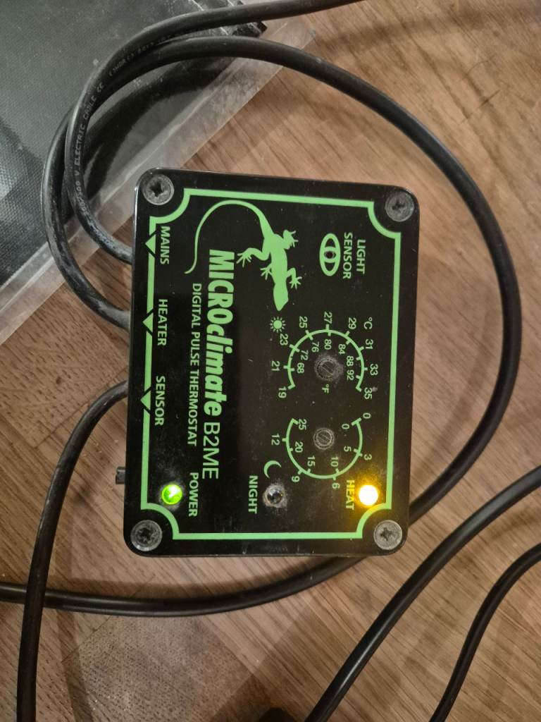 Exo Terra large wide viv plus Zoomed LED Hood, microclimate pulse thermostat, heat mat & accessories