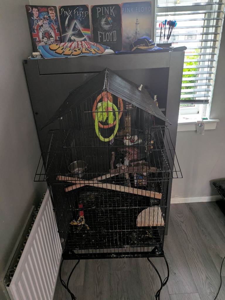 Blackbird cage 