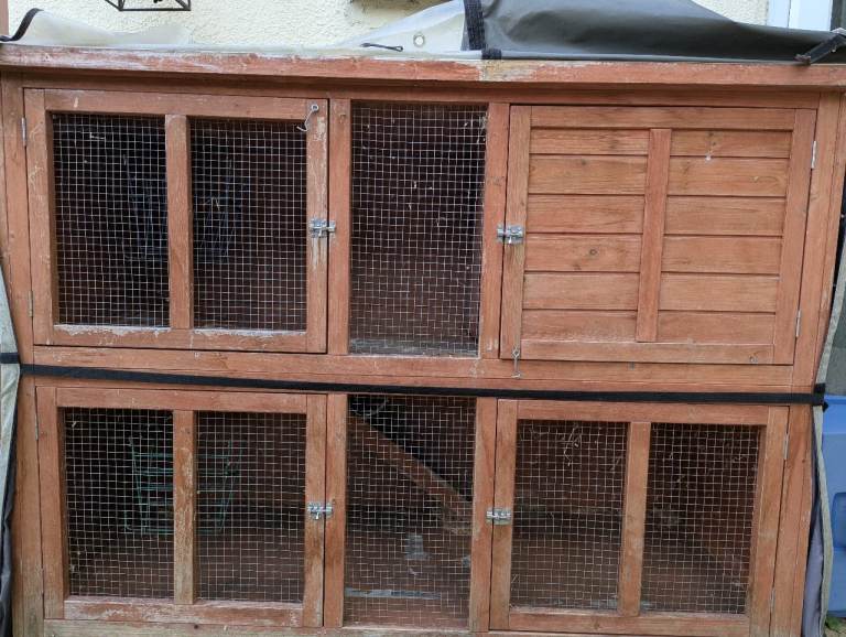 Guinea Pig Hutch 