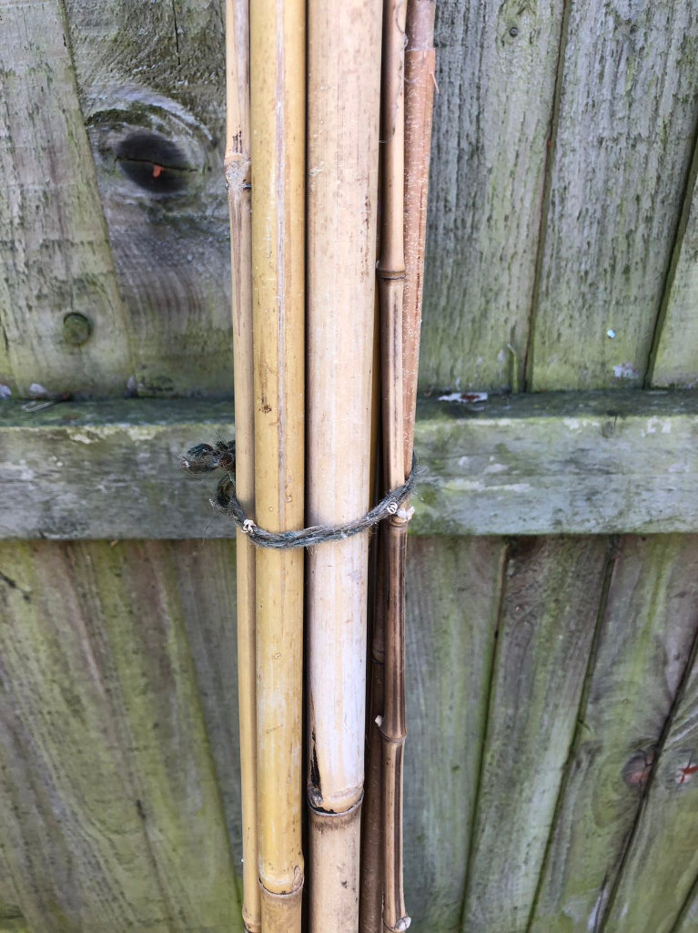 Bamboo Cane, size 6 feet