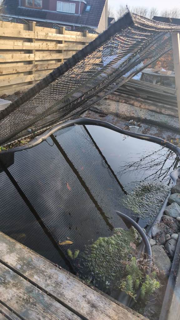 Preformed Rigid pond liner