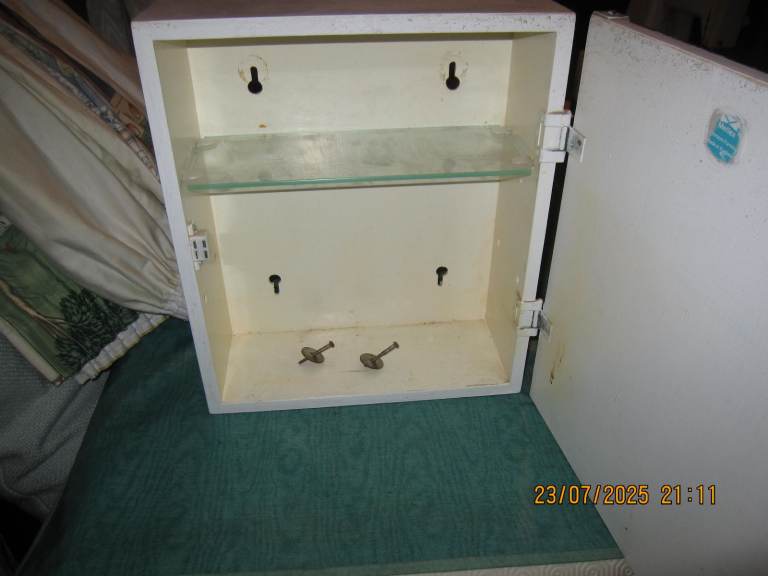 Wall-mounted medicine cabinet