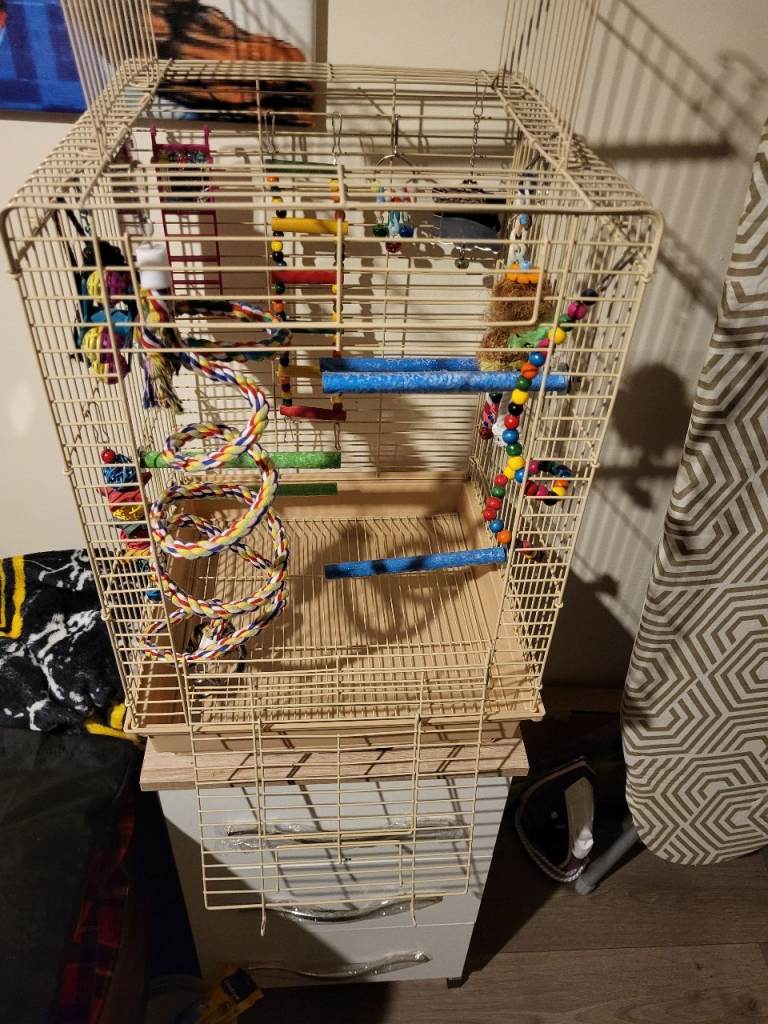 Small budgie canary cage