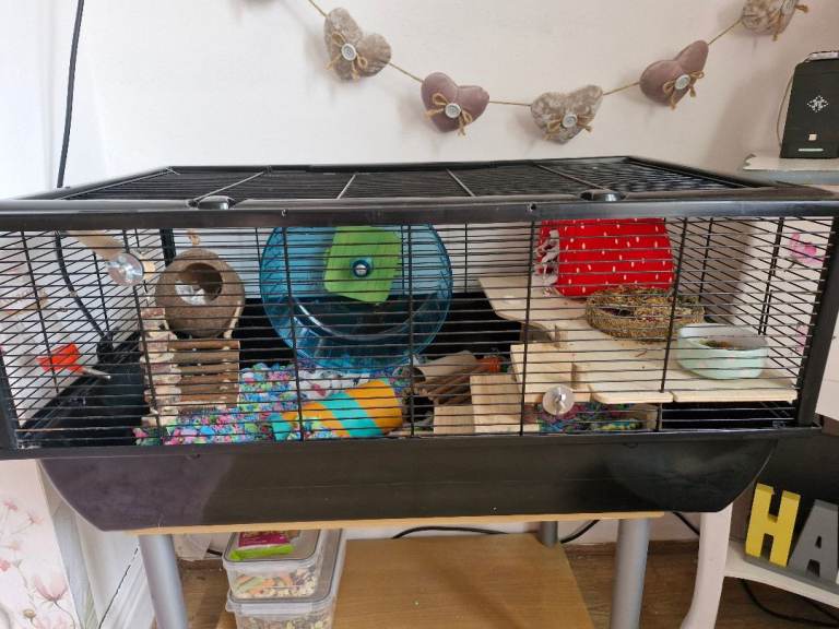 X-L Hamster cage & accessories 