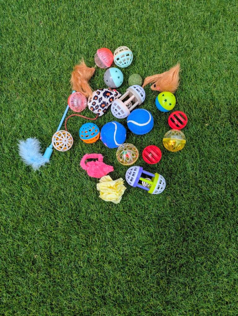 Cat or kitten toys 