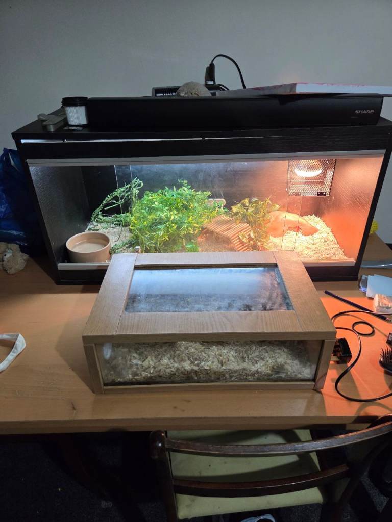 Small Vivarium and Heat mat