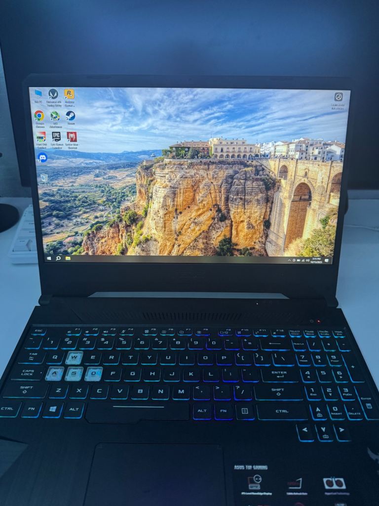 Asus TUF FX505du Gaming Laptop