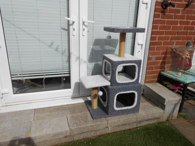 Cat Tree - - £10 - - -