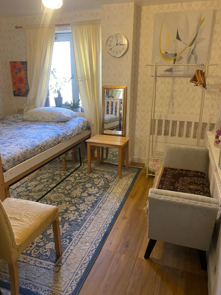 Roommate roomshare professional guy