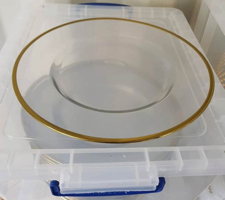 Clear Glass Charger Plate with Gold Rim