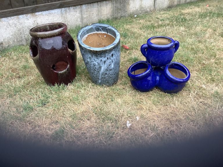 FREE plant pots