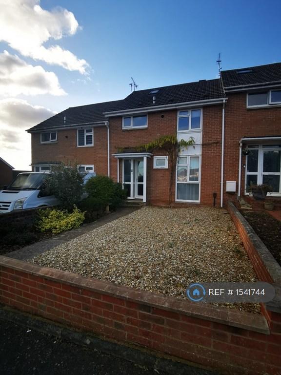 4 bedroom house in Wynford Road, Exeter, EX4 (4 bed) (#1541744)