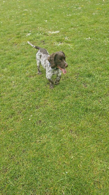 Mr max