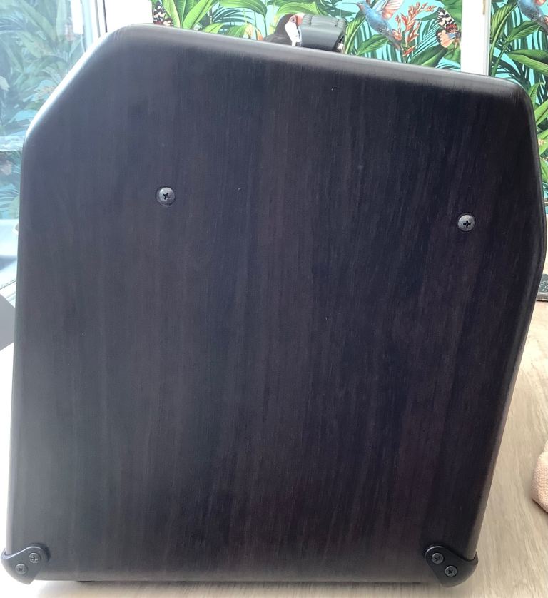 Boss Acoustic Singer Pro