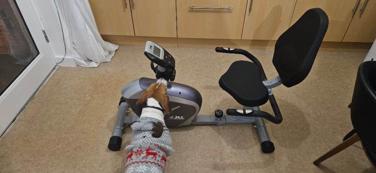 Excersize Bike (Perfect for those with Mobility Issues etc)