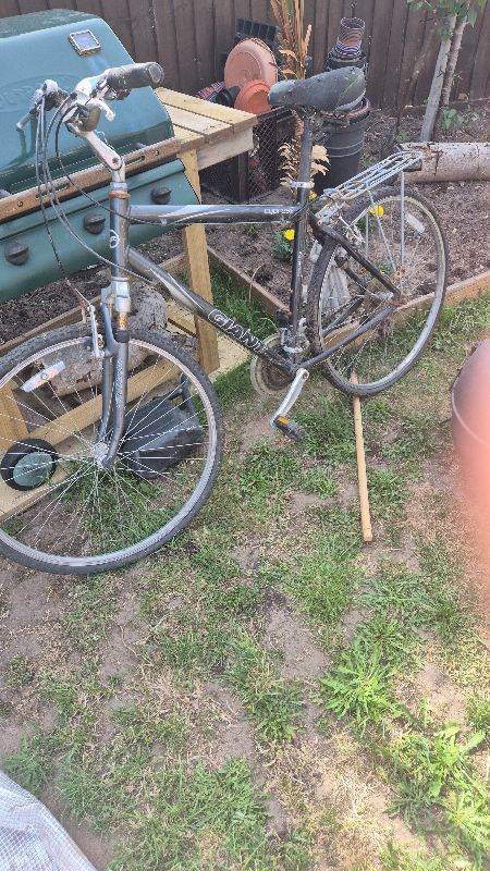 Mans bike