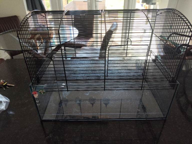 Hamster Cage