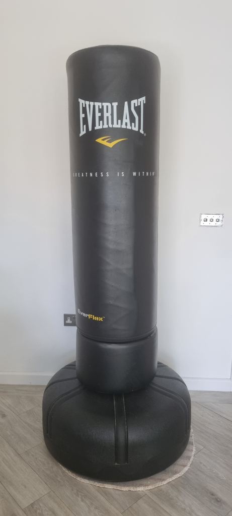Everlast Pro punch bag