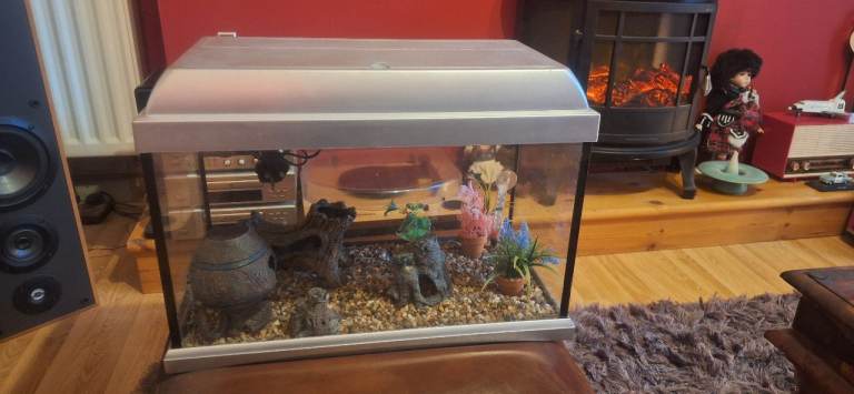 Glass Fish Tank - ( 18" x 12")