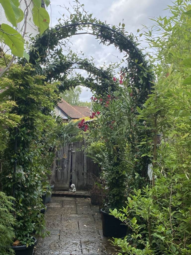 Selling my most beautiful huge magnificent Jasmine Arches.