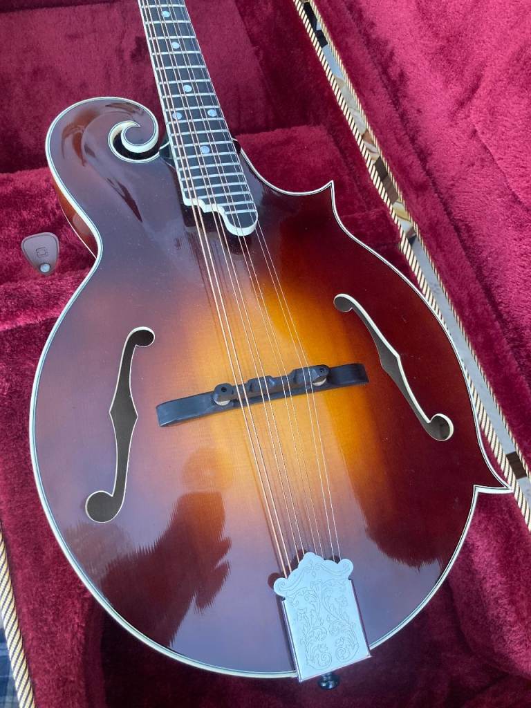 Mandolin wanted