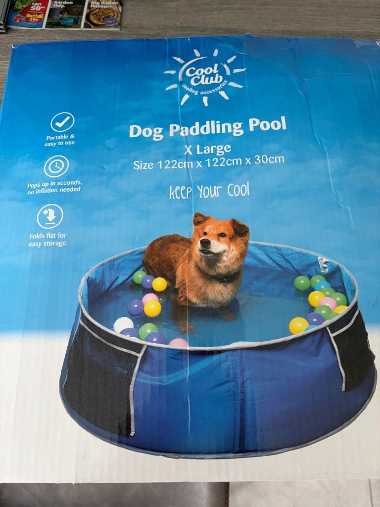 Dog Paddling Pool 